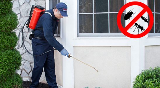 Gümüşpala Fare İlaçlama böcek ilaçlama ve haşere kontrolü — ilaclama-tr.com